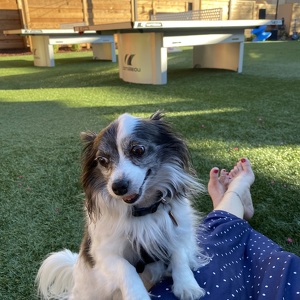 Fundraising Page: Stephani Martin